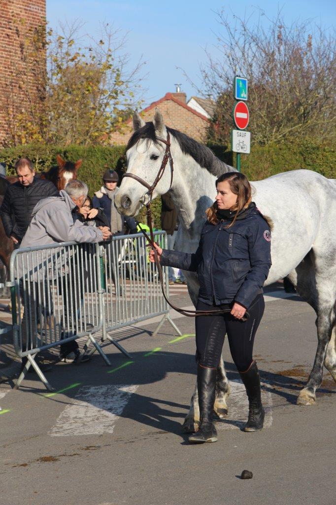 Foire aux Poulains (180)