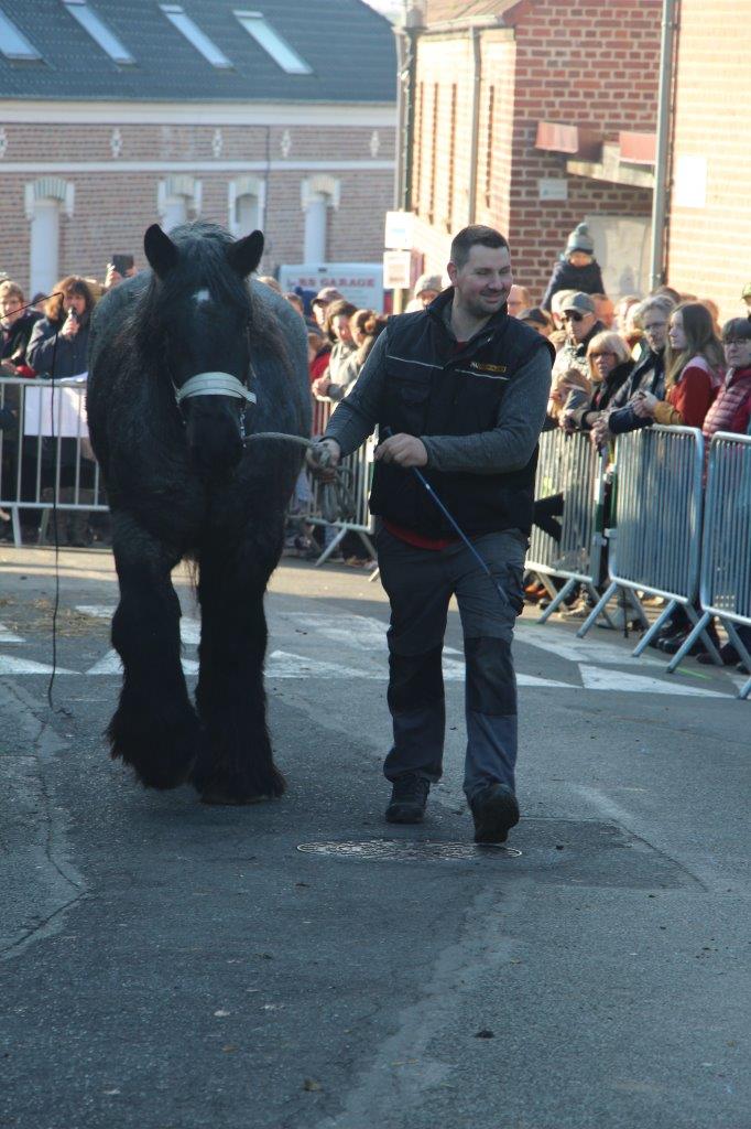 Foire aux Poulains (181)