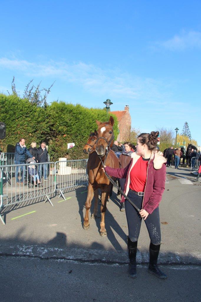 Foire aux Poulains (183)