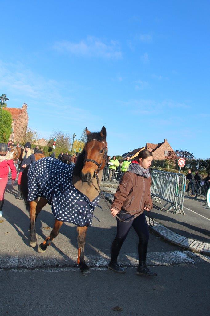 Foire aux Poulains (184)