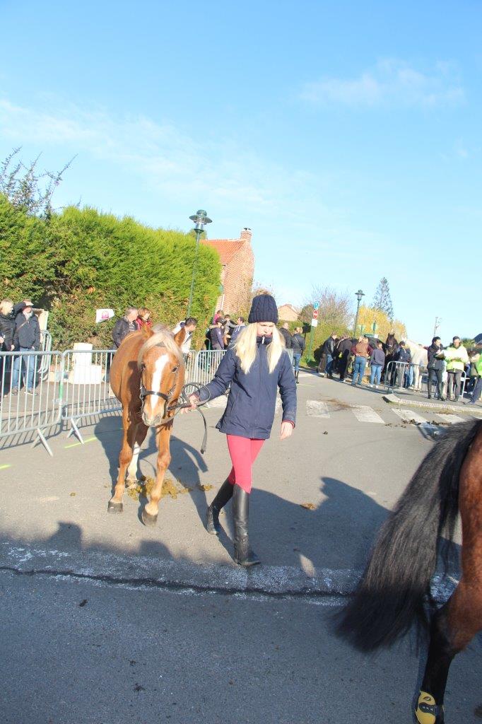 Foire aux Poulains (185)