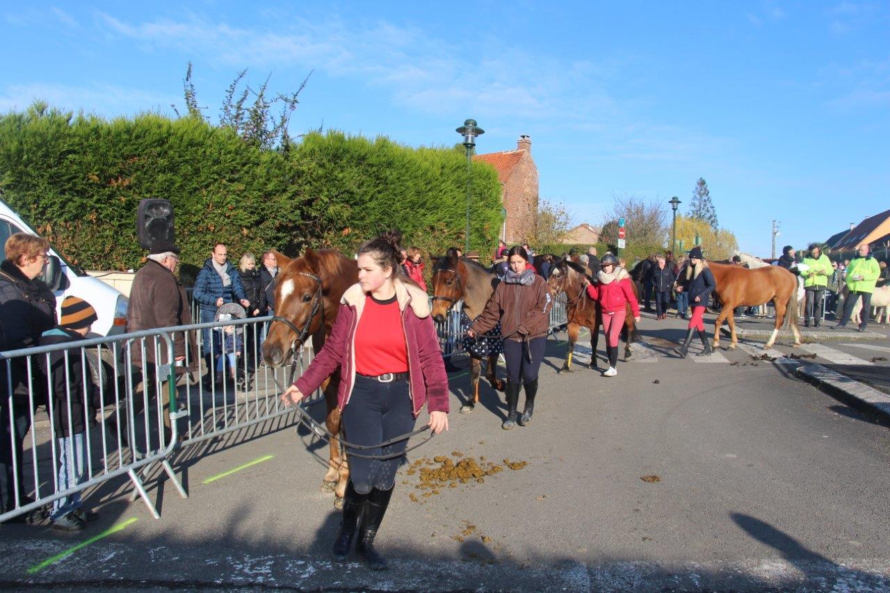 Foire aux Poulains (186)