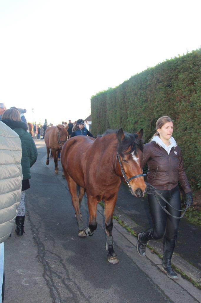 Foire aux Poulains (187)