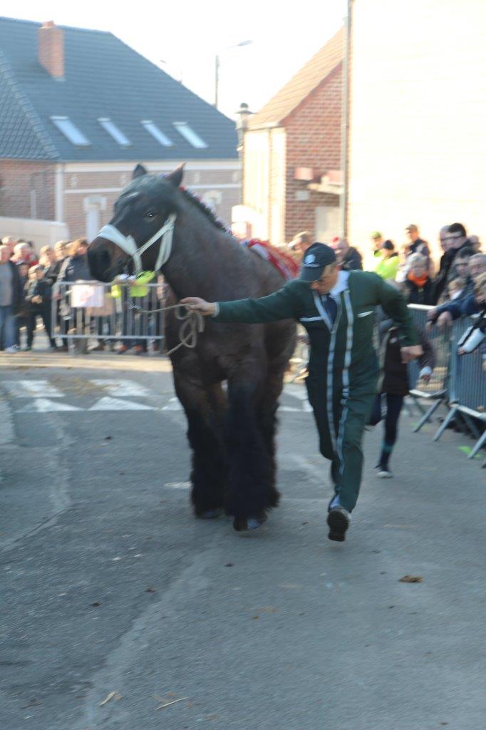 Foire aux Poulains (194)