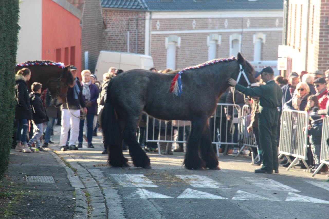 Foire aux Poulains (195)