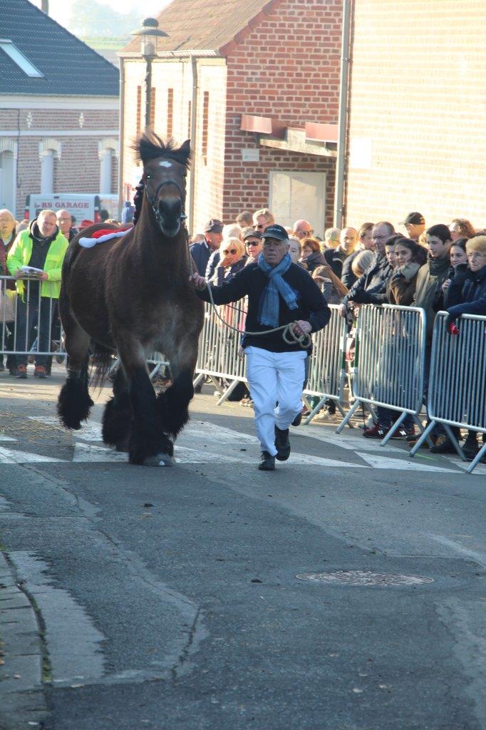 Foire aux Poulains (197)