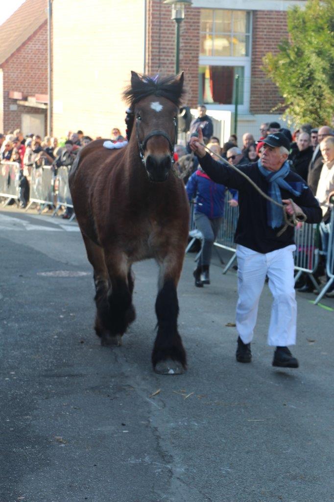 Foire aux Poulains (198)