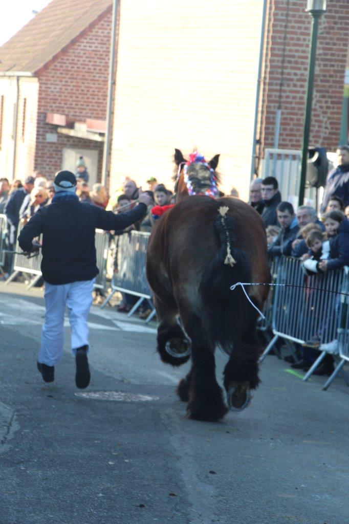 Foire aux Poulains (199)