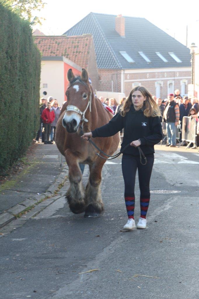 Foire aux Poulains (205)