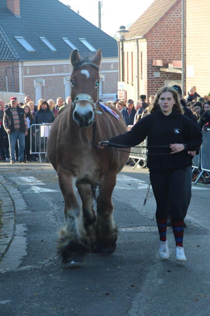 Foire aux Poulains (207)