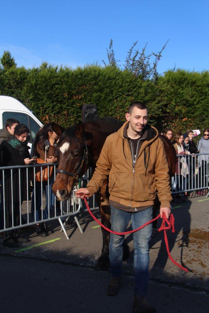 Foire aux Poulains (208)