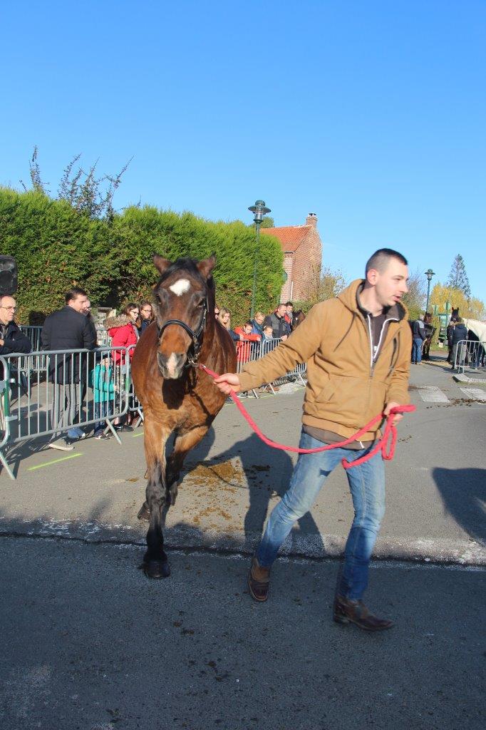 Foire aux Poulains (210)