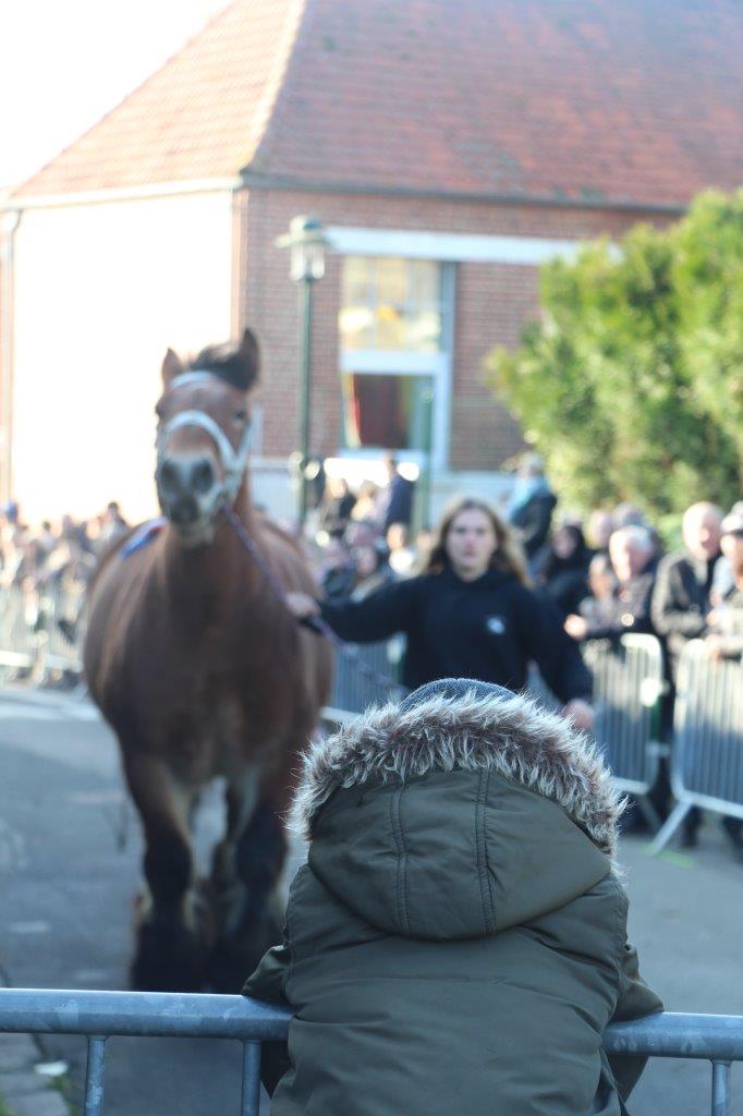 Foire aux Poulains (212)