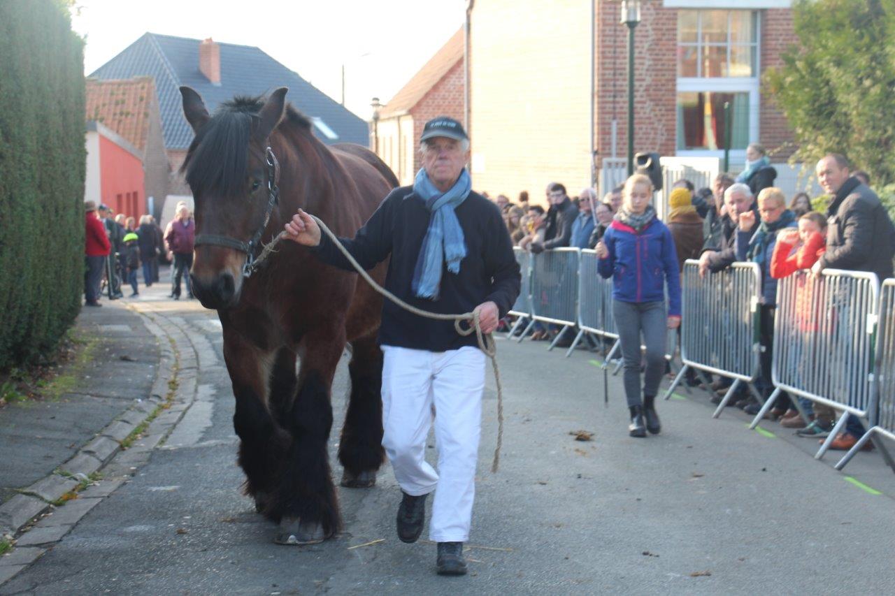 Foire aux Poulains (213)