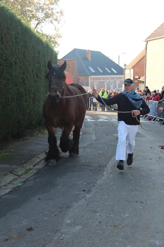 Foire aux Poulains (214)