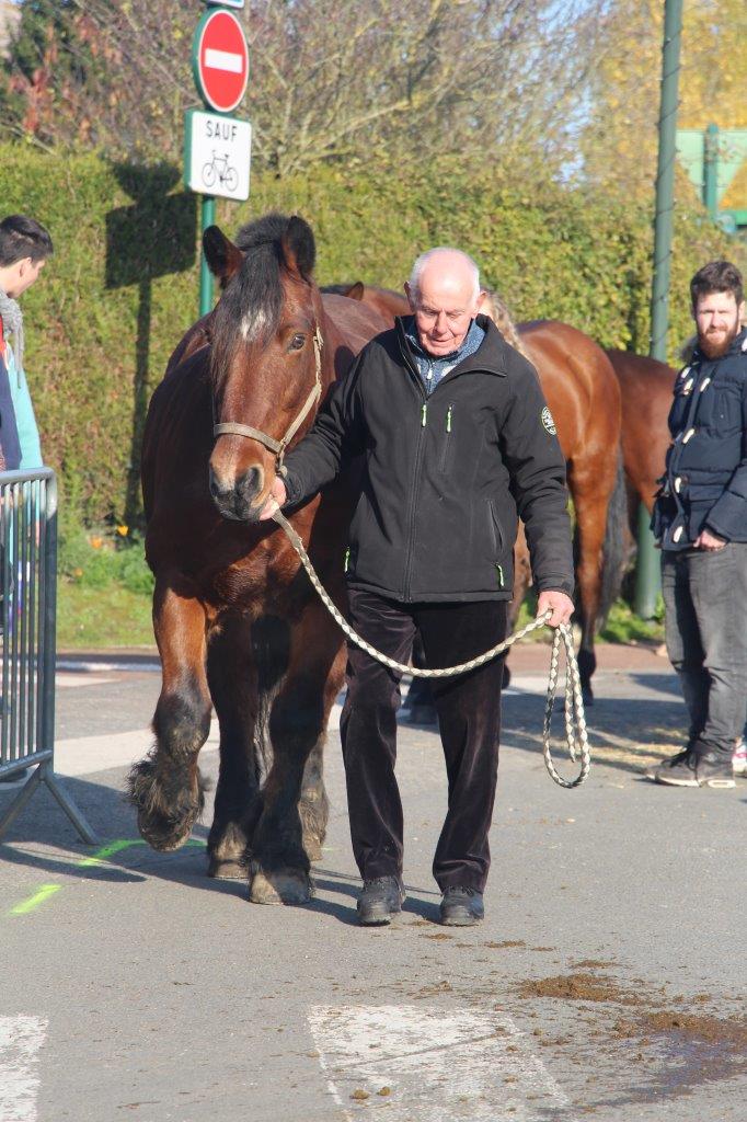 Foire aux Poulains (215)