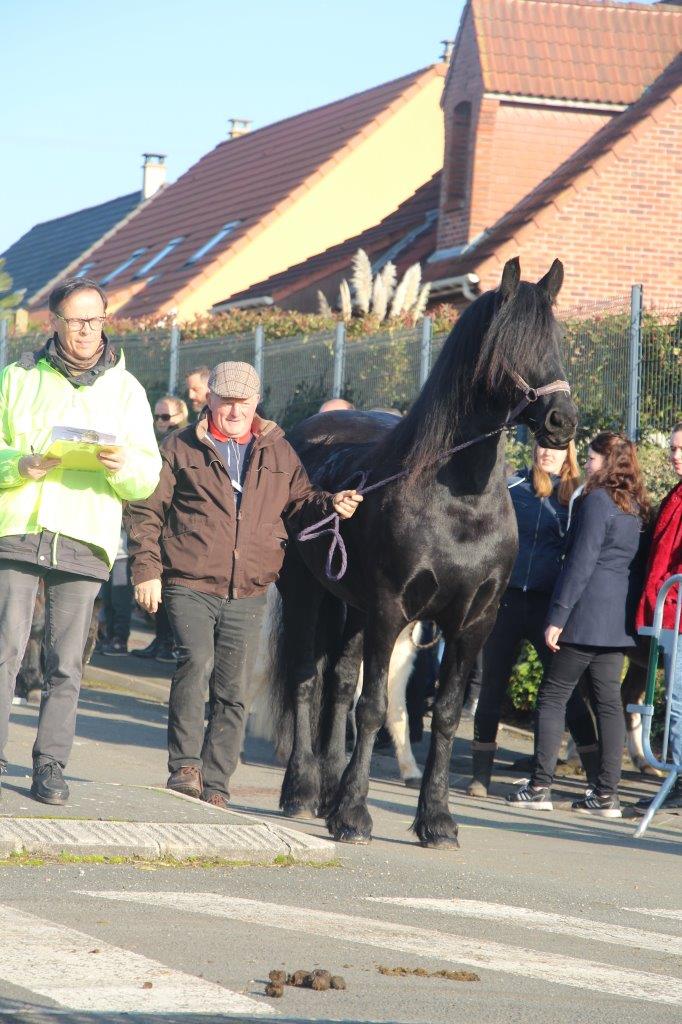 Foire aux Poulains (217)