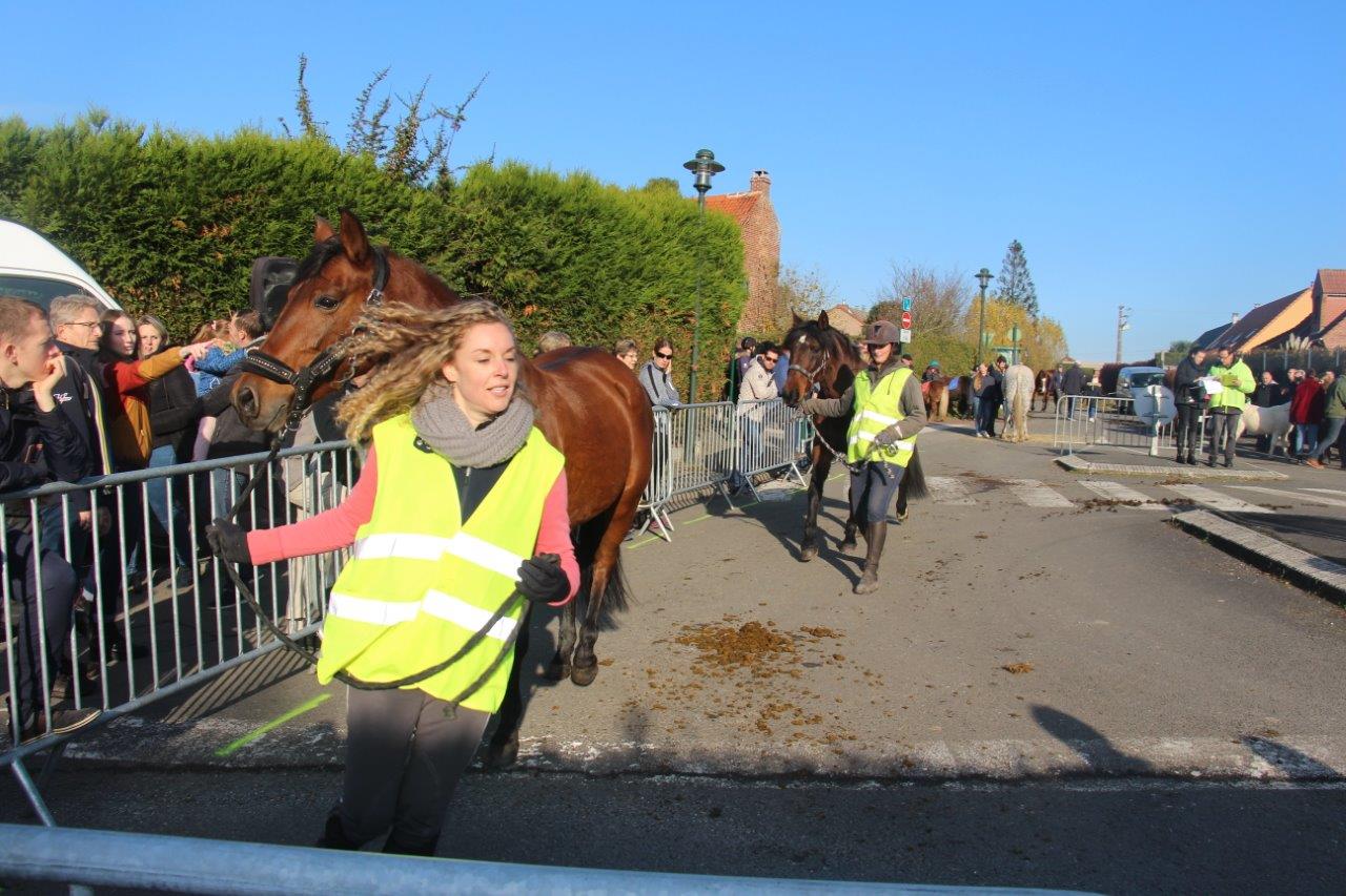 Foire aux Poulains (220)