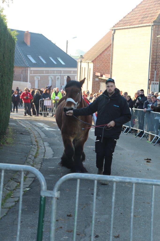 Foire aux Poulains (222)