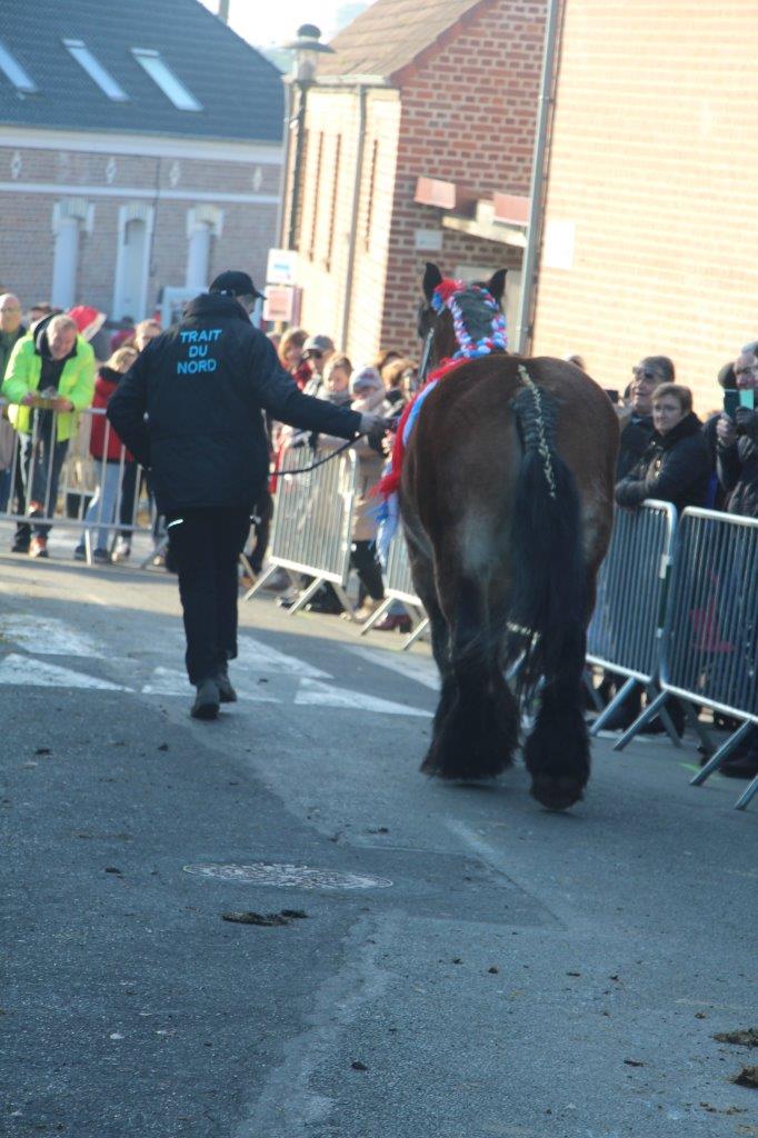 Foire aux Poulains (223)