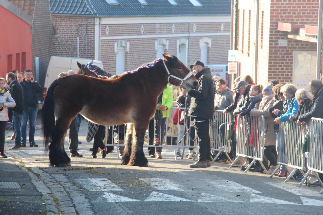 Foire aux Poulains (224)
