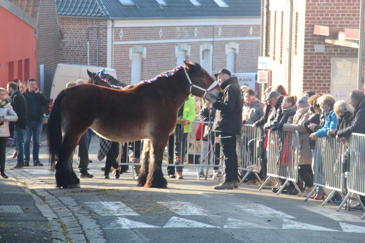 Foire aux Poulains (224)