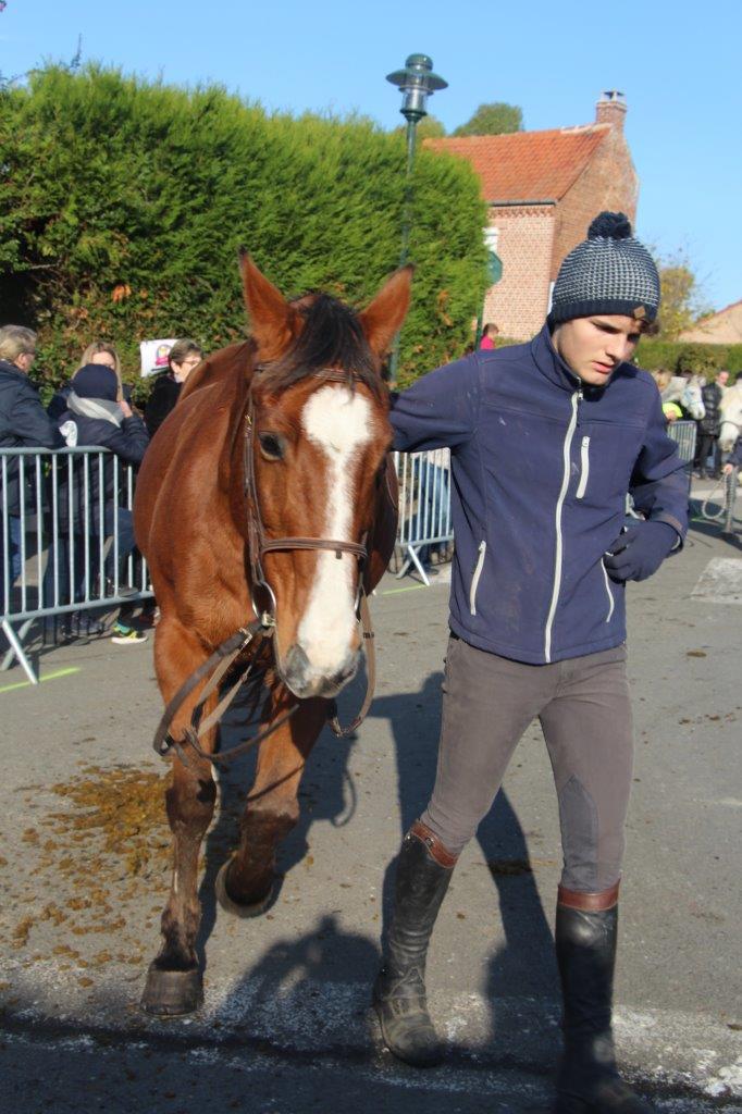 Foire aux Poulains (225)