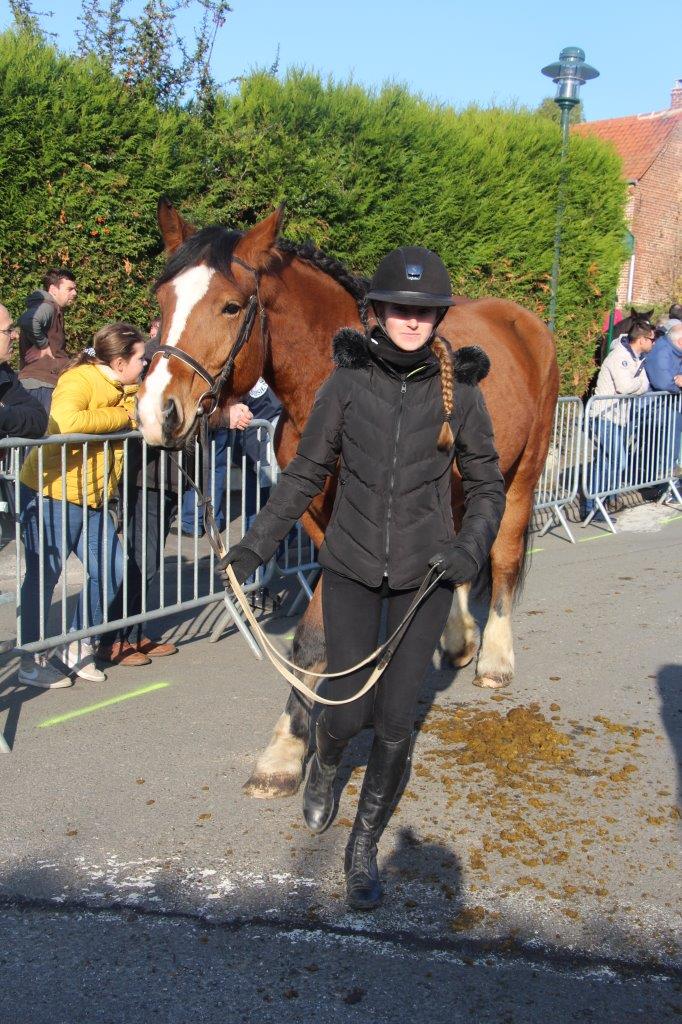 Foire aux Poulains (226)