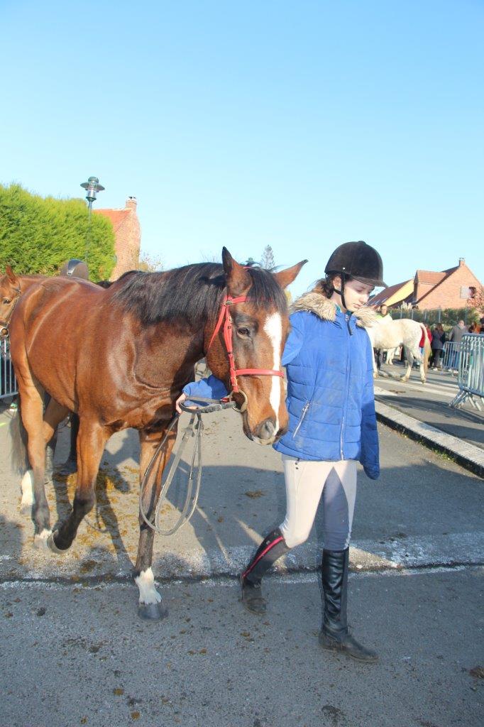 Foire aux Poulains (228)