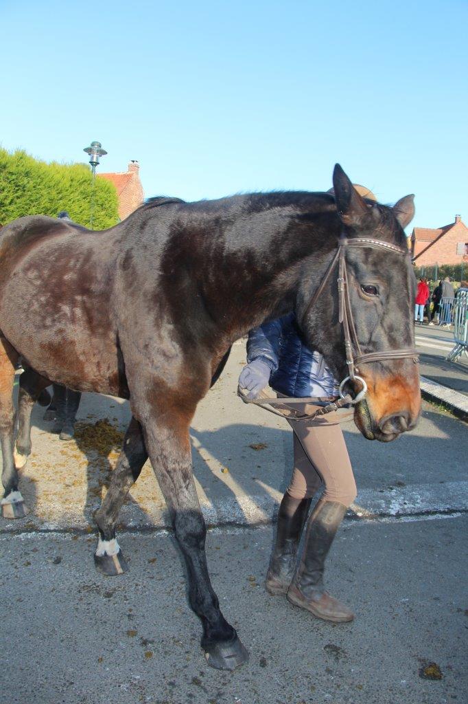 Foire aux Poulains (230)