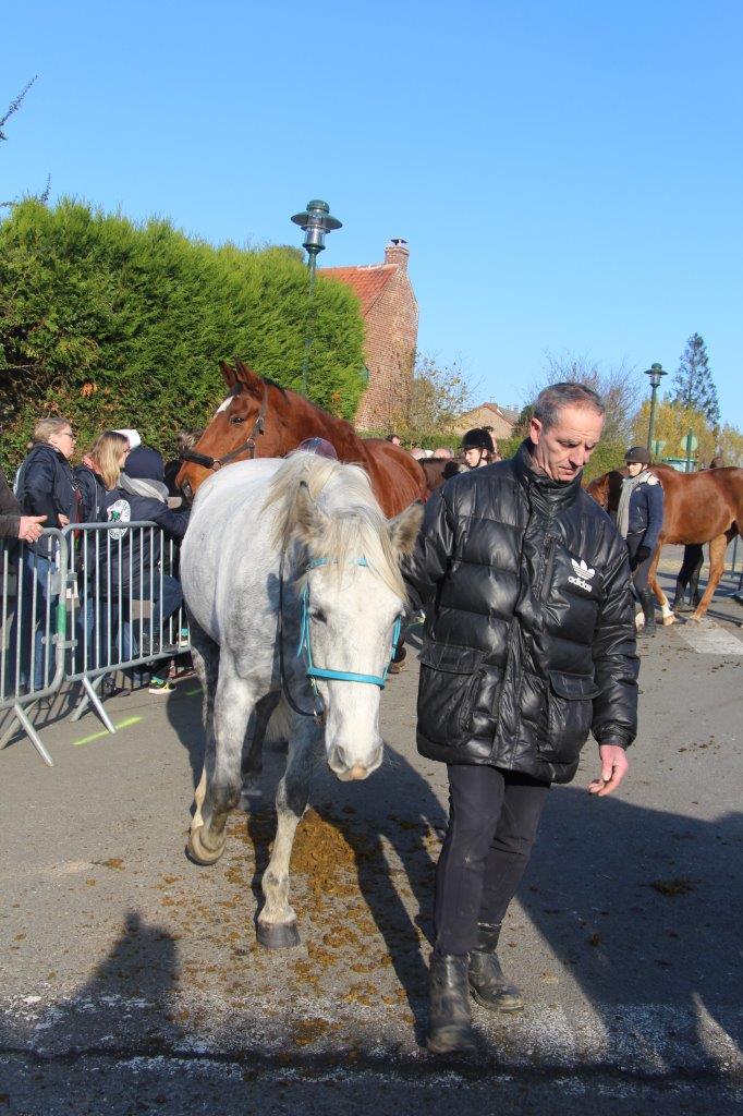 Foire aux Poulains (232)