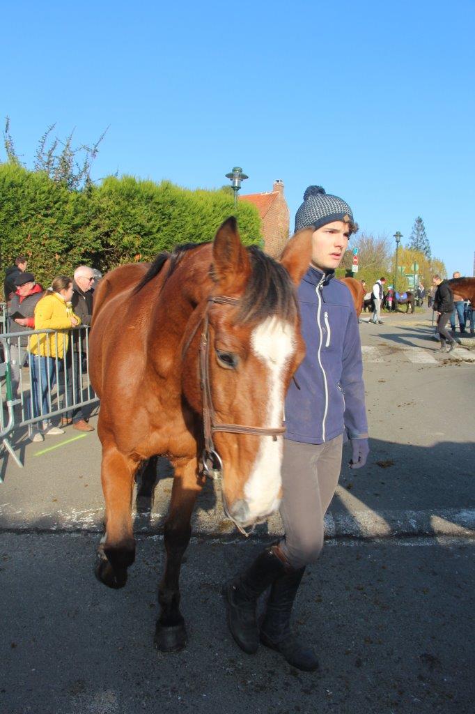 Foire aux Poulains (235)