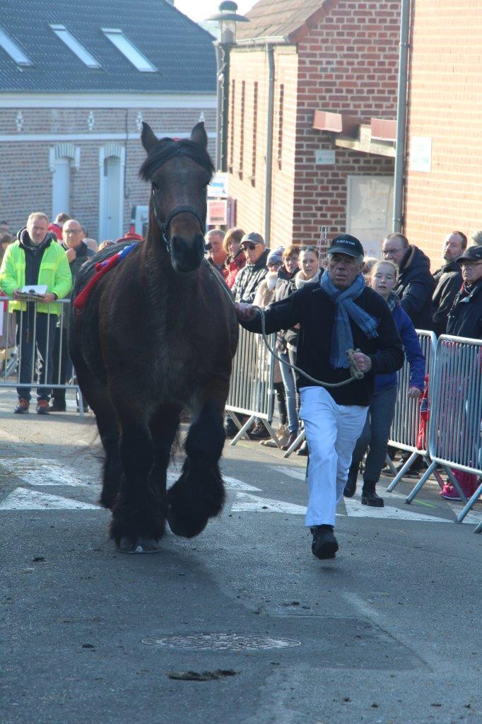 Foire aux Poulains (236)