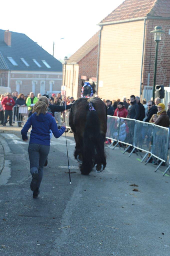 Foire aux Poulains (238)