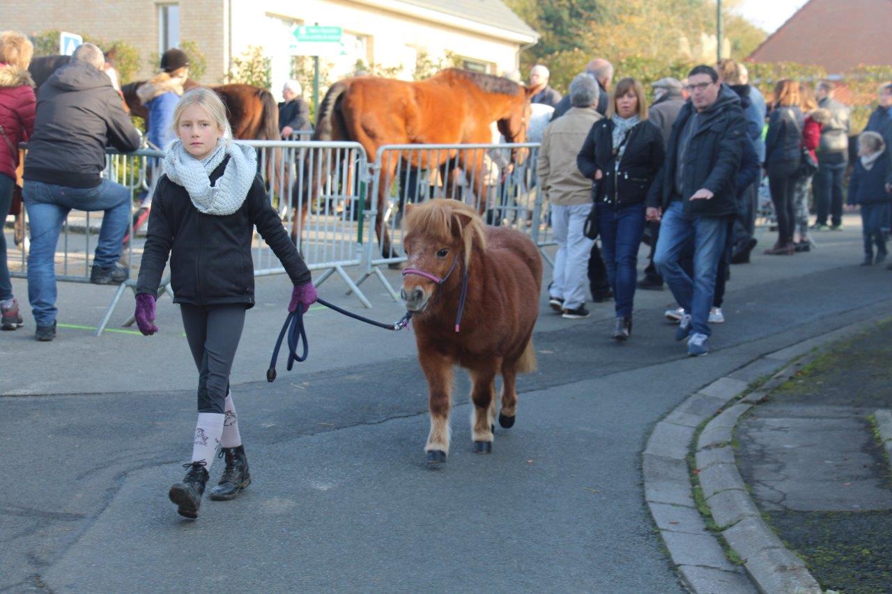 Foire aux Poulains (240)