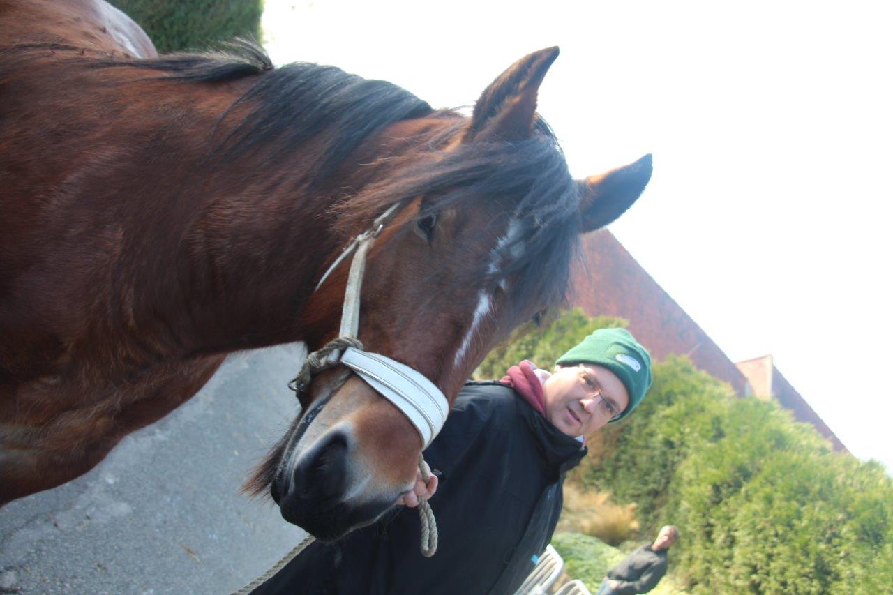 Foire aux Poulains (241)