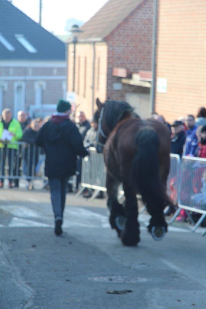 Foire aux Poulains (242)