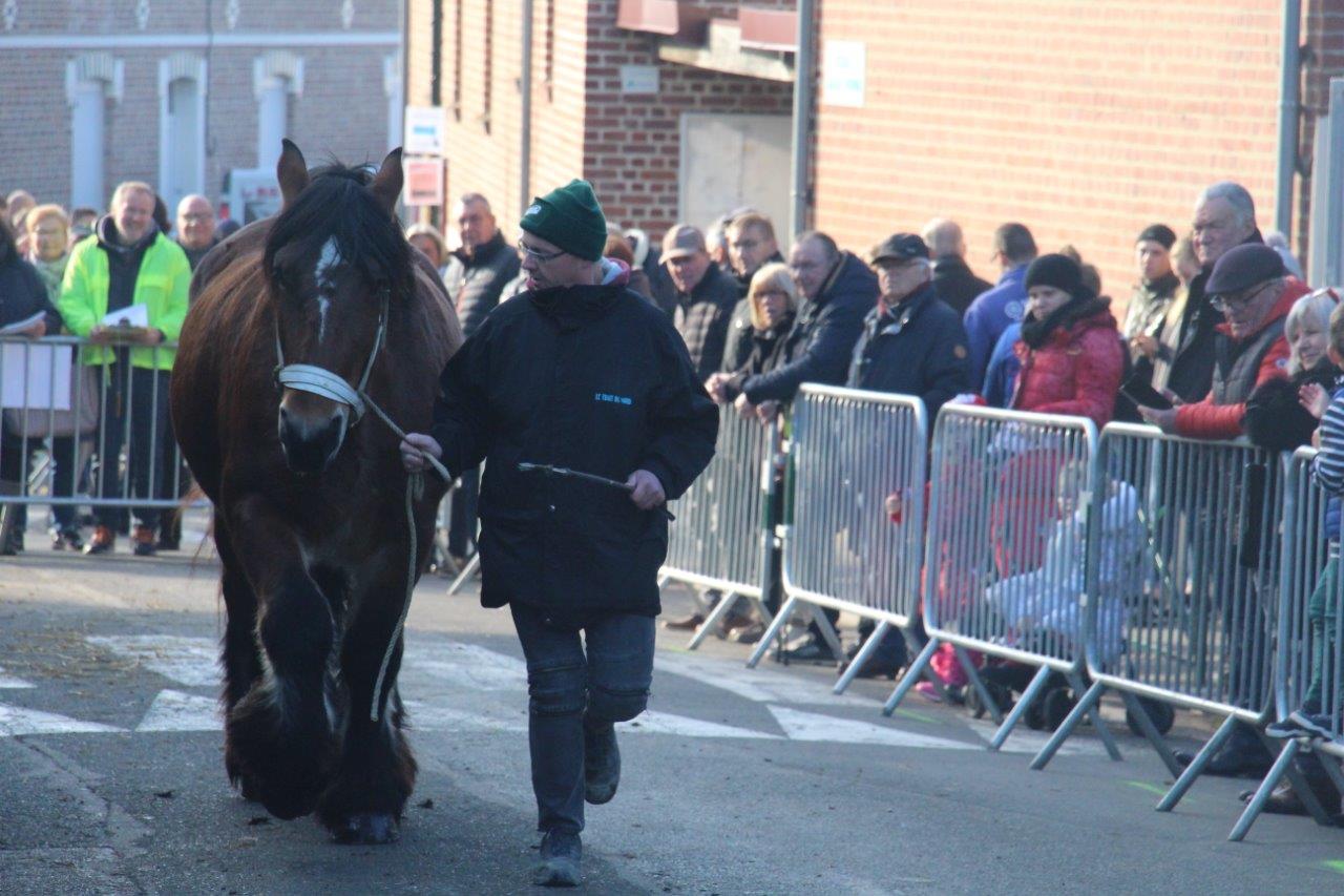 Foire aux Poulains (243)