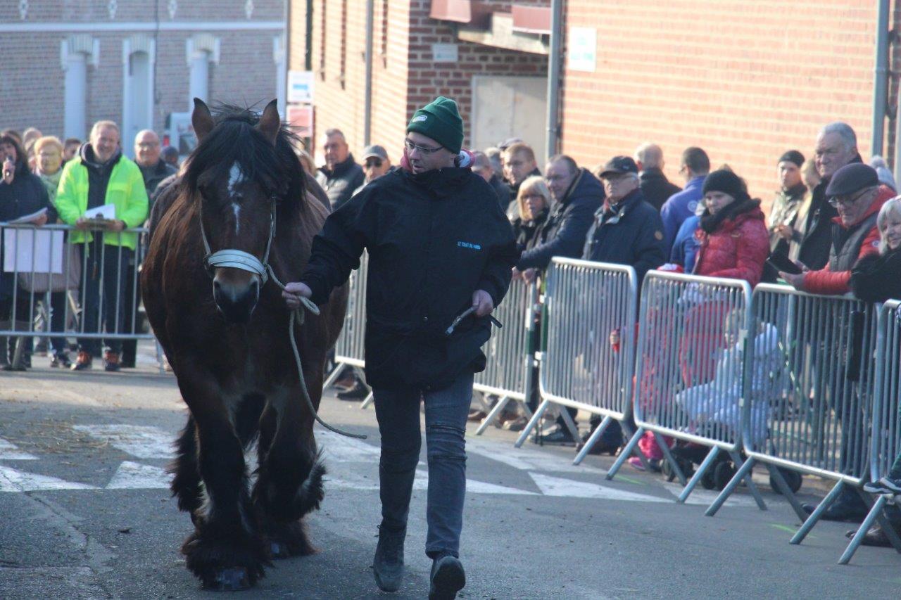 Foire aux Poulains (244)