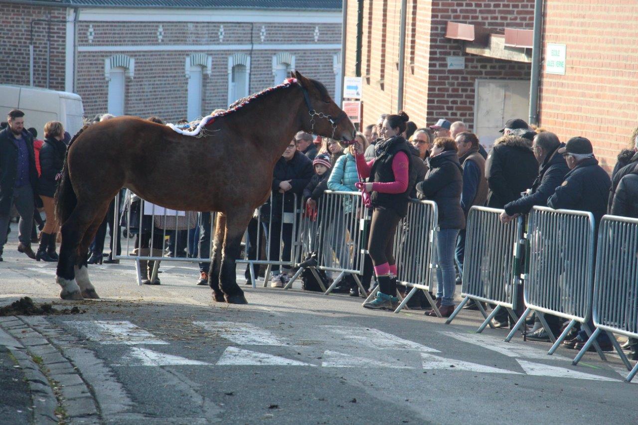 Foire aux Poulains (246)