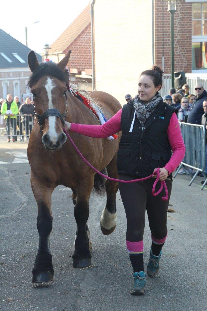 Foire aux Poulains (247)