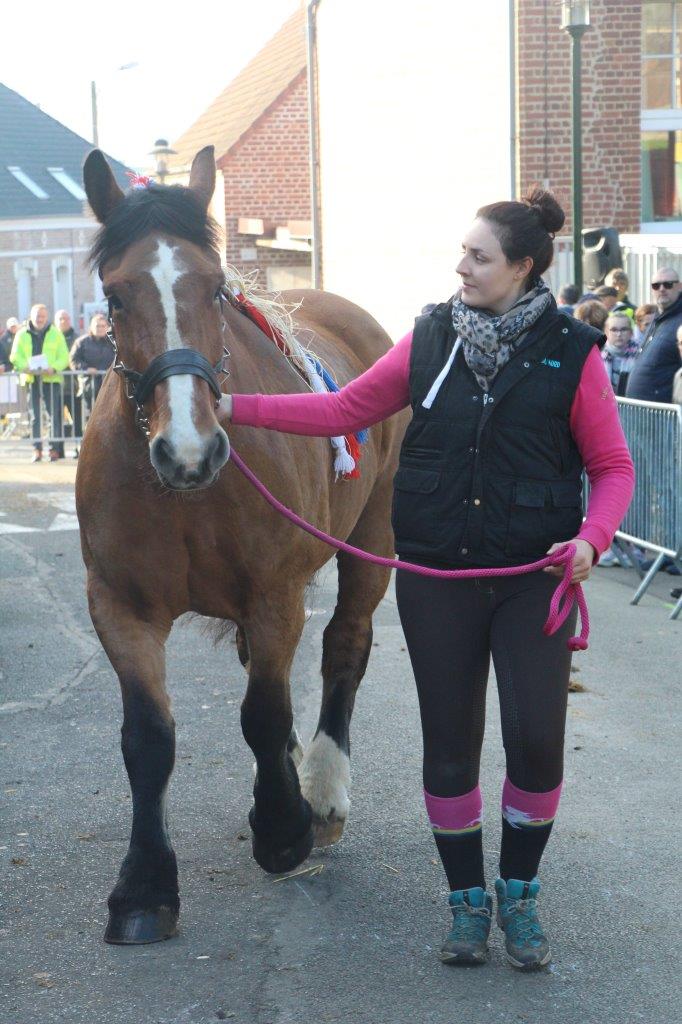 Foire aux Poulains (248)