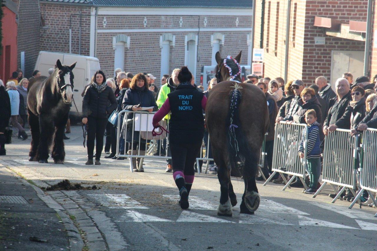 Foire aux Poulains (249)