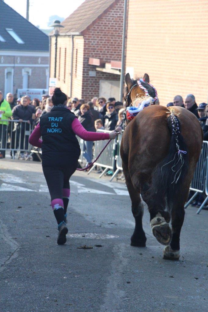 Foire aux Poulains (250)