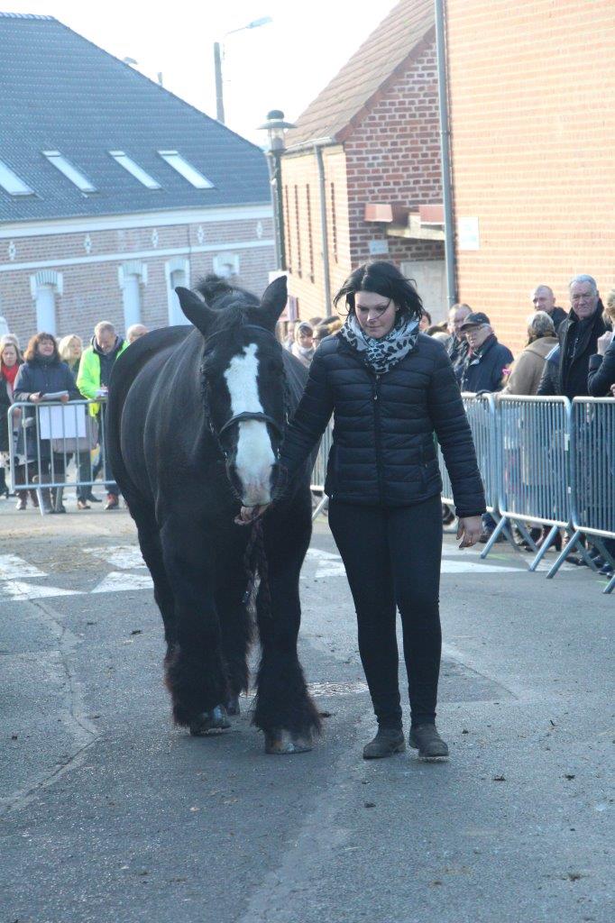 Foire aux Poulains (251)