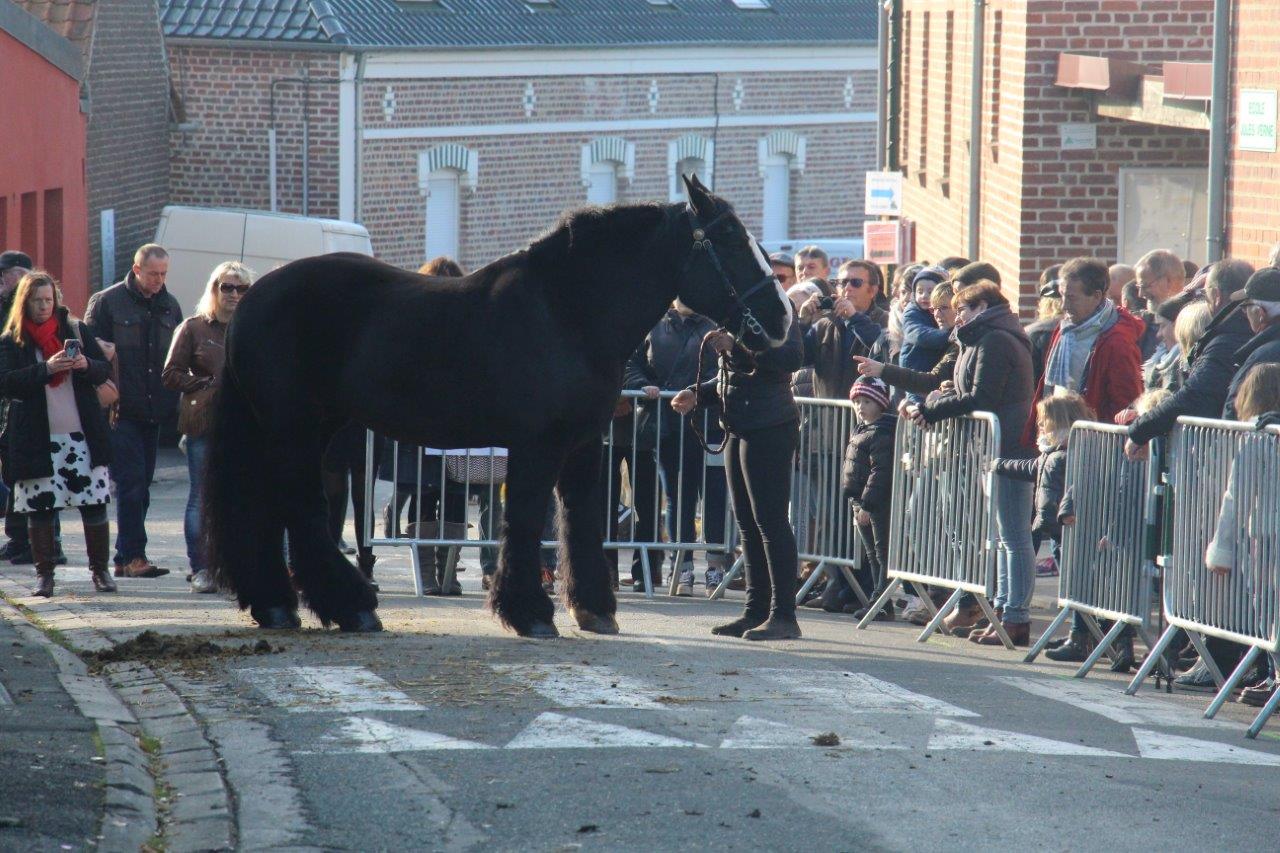 Foire aux Poulains (252)