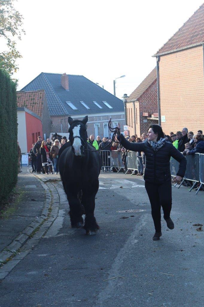 Foire aux Poulains (253)