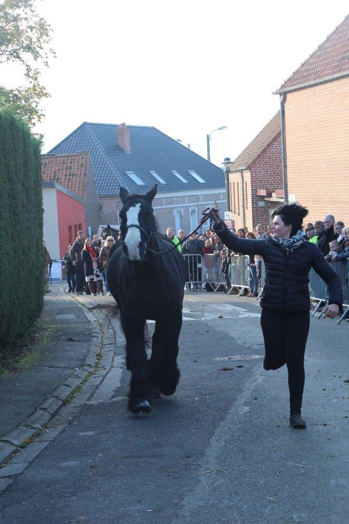 Foire aux Poulains (254)