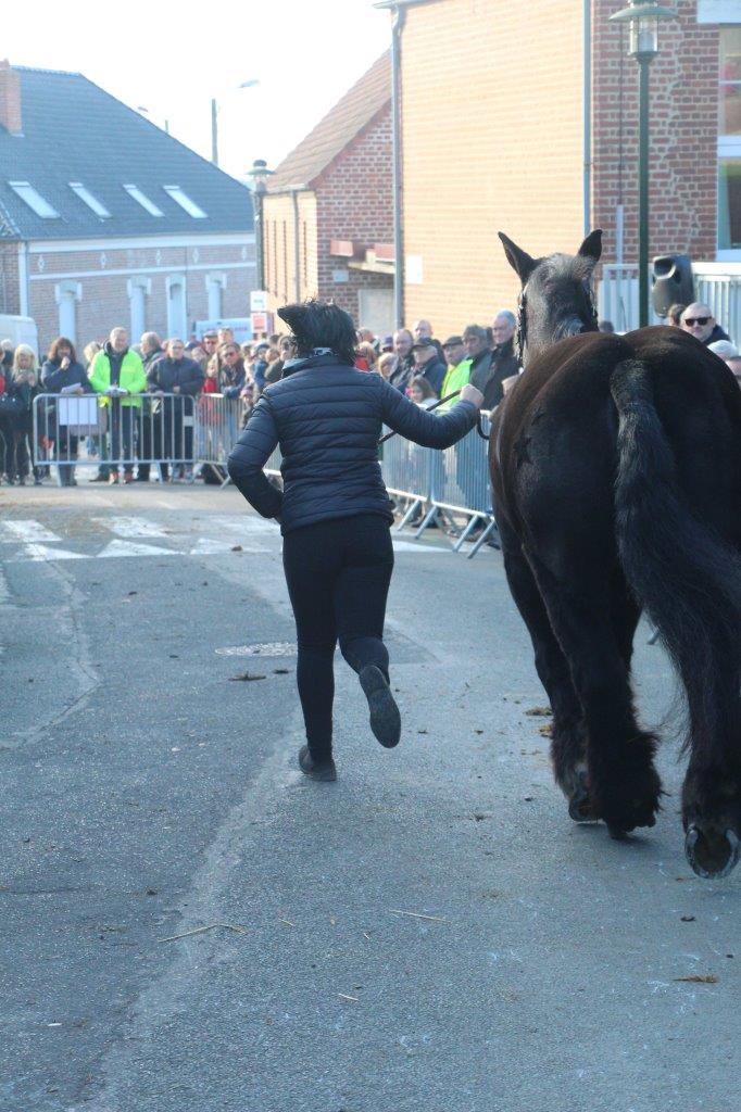 Foire aux Poulains (256)