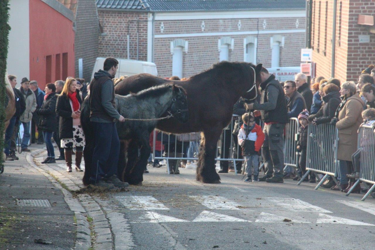 Foire aux Poulains (257)